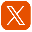 X icon
